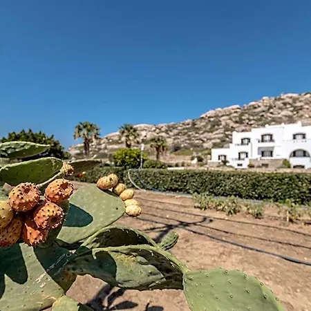 Hotel Zefyros 3*